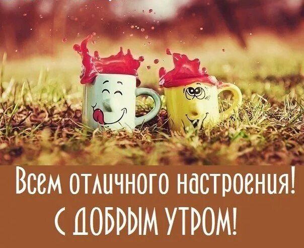 Позитивное утро картинки цитаты Good morning, Congrats, Cards