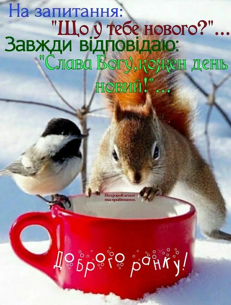 Позитивное зимнее утро картинки прикольные Pin by Юлия on юмор Good morning gif, Good morning, Morning gif