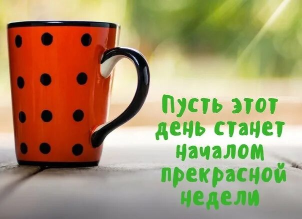 Позитивного дня картинки Пусть этот день станет началом прекрасной недели! 2021 Красивые открытки 2024 ВК