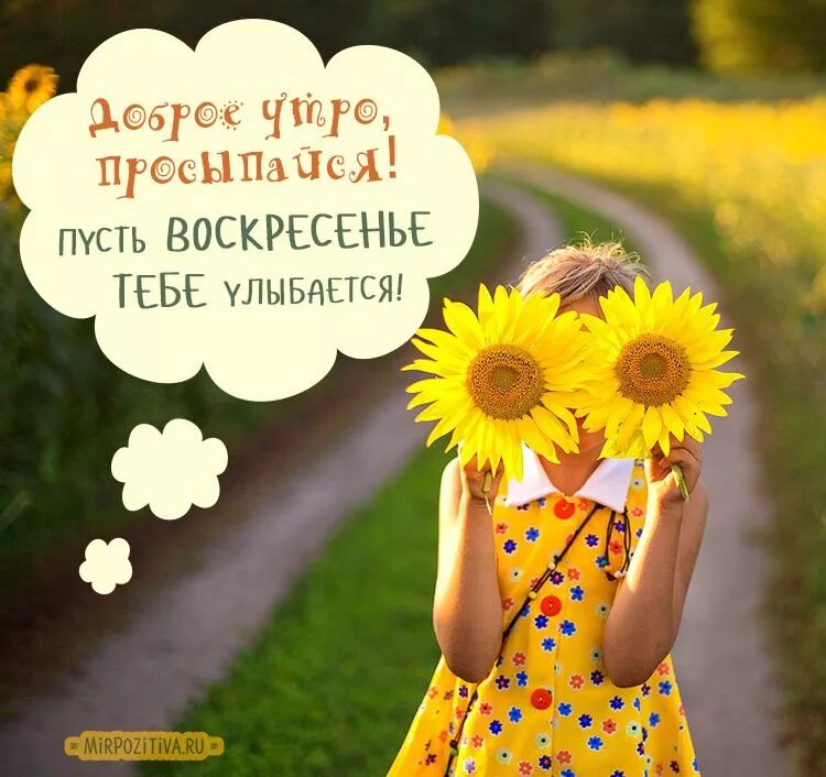 Позитивного дня картинки подсолнухи Guten morgen, Zitate, Sprüche