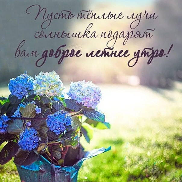 Позитивного лета картинки с пожеланиями #АГС_Утро Good morning dear followers and guests "AGS"! May Tuesday be peaceful,