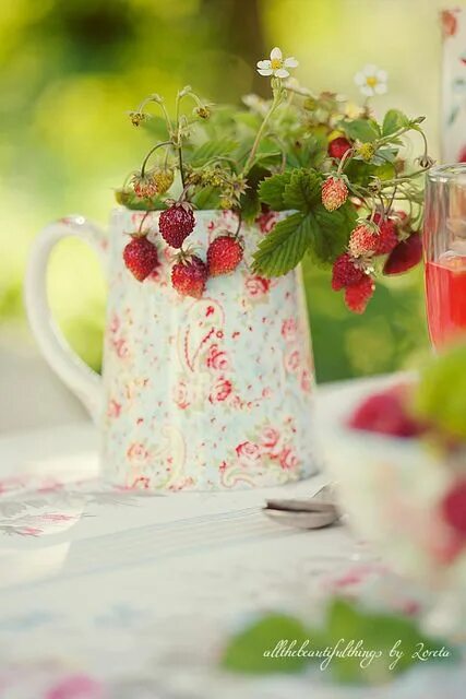 Позитивного летнего утра картинки красивые Loreta Wild strawberries, Strawberry, Strawberry farm