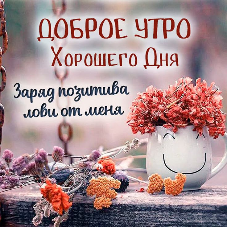 Позитивного утра и дня картинки Красивые открытки с добрым утром Red peppercorn, Good morning photos, Good morni