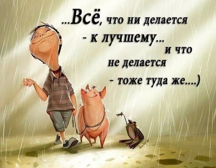 Позитивные добрые смешные картинки #2335 post - Артём Толоконин (@Tolokonincom)