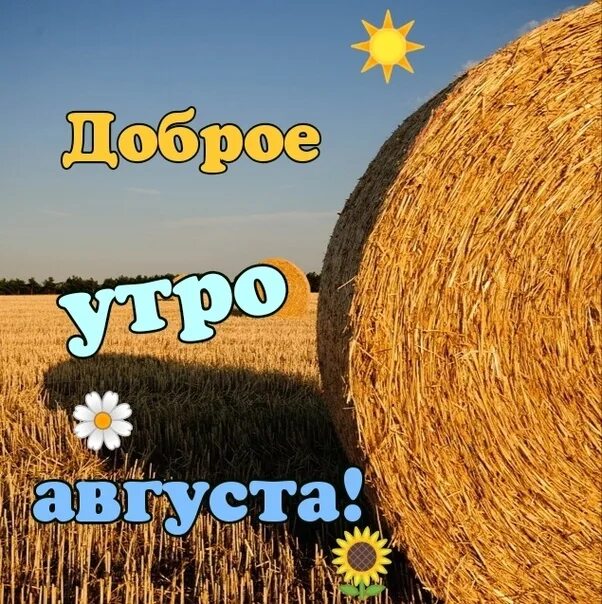 Позитивные картинки августа Good morning everyone ! !! 2022 Новосибирск Новости ЧП Мамы Бесплатный Афиша ВКо