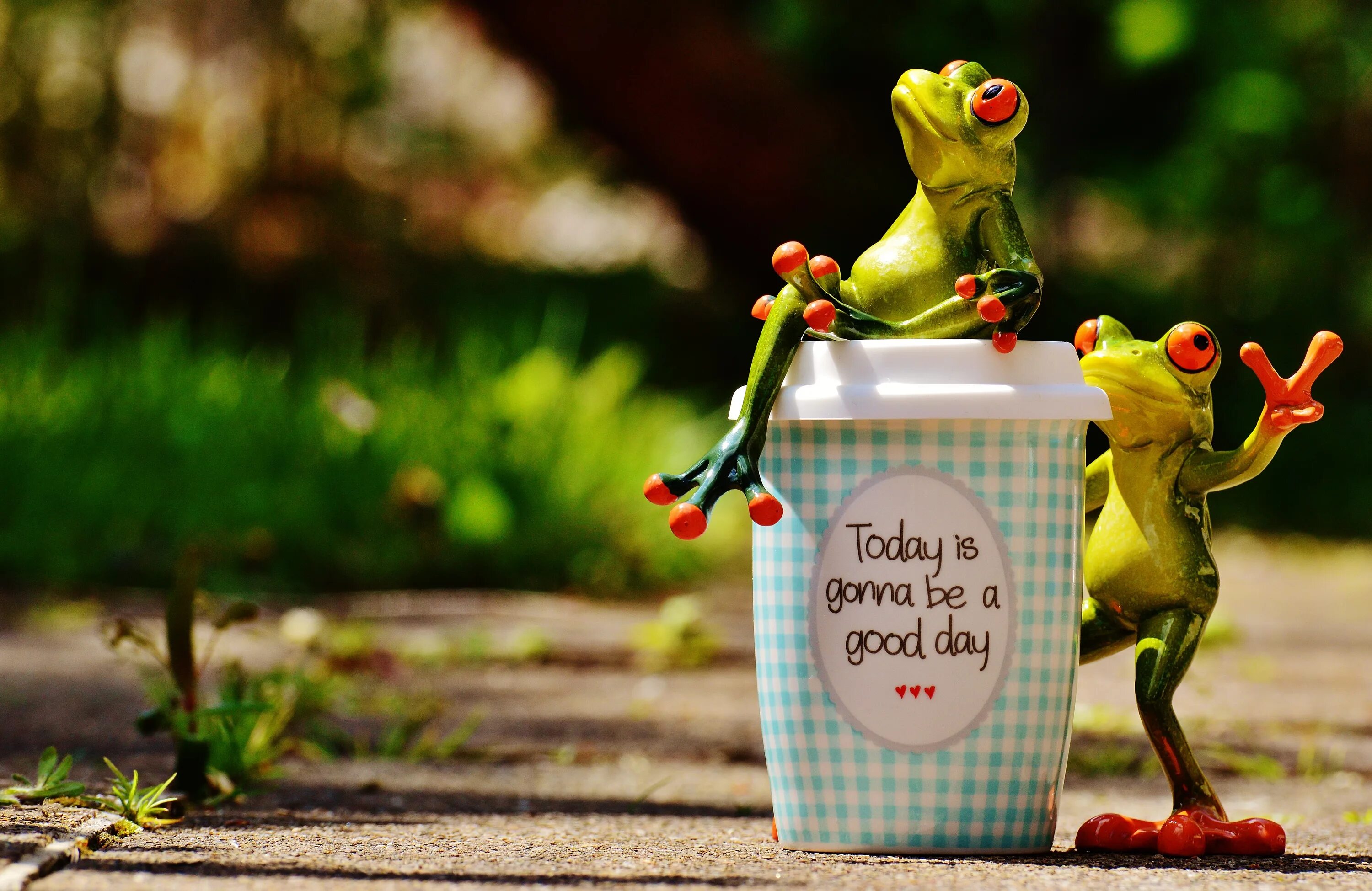 Позитивные картинки бесплатно Figures of funny frogs near a glass of coffee free image download