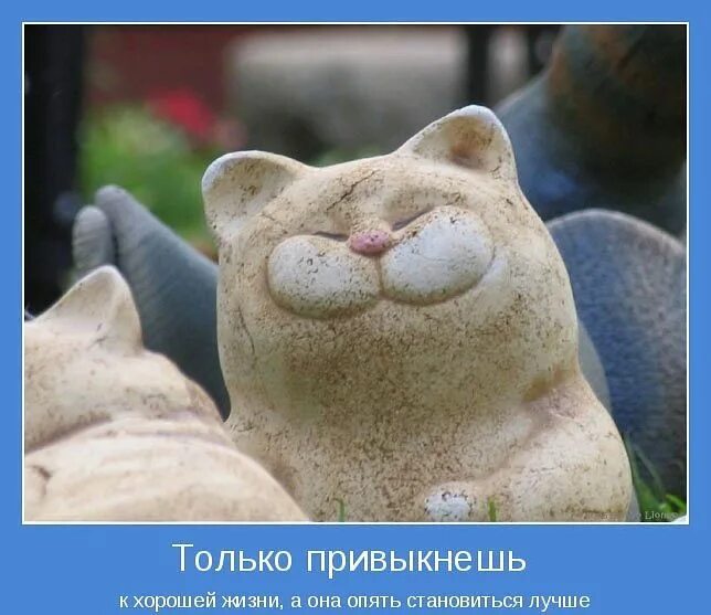 Позитивные картинки для поднятия Pin on Кошки Just smile, Player 1, Macmillan