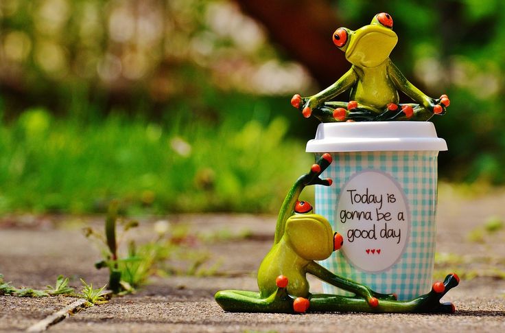 Позитивные картинки для поднятия скачать бесплатно Beautiful Day, Joy, Frog, Coffee, Cup, Happy, Happiness Beautiful day, Cat photo