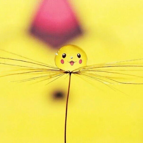 Позитивные картинки красивые поднимающие настроение Pikachu Funny iphone wallpaper, Iphone wallpaper, Surreal photos