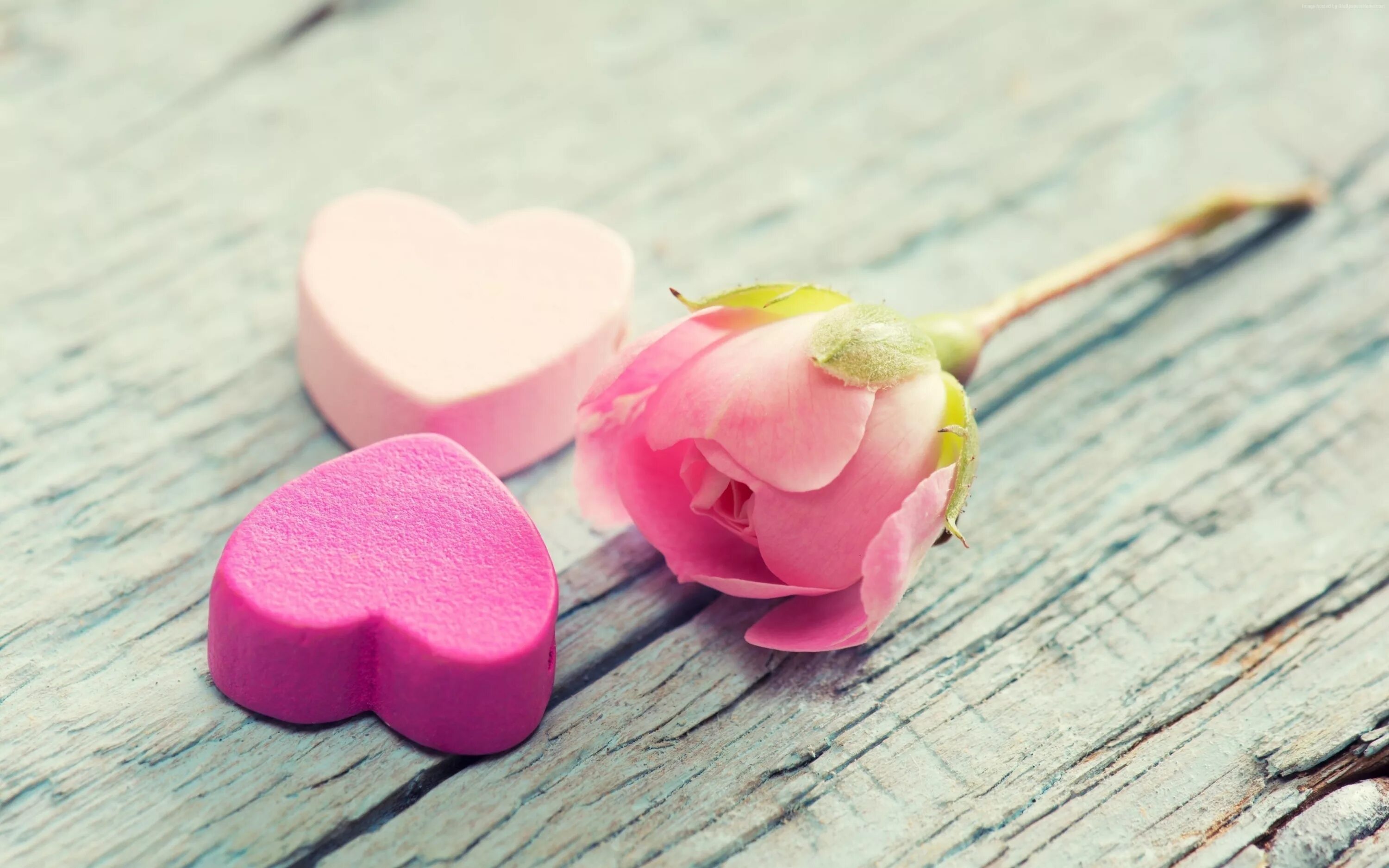 Позитивные картинки любимой девушке Two pink hearts and a pink rose lie on a wooden surface Desktop wallpapers 640x9