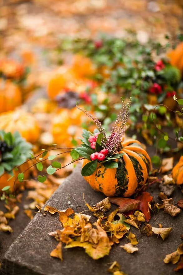 Позитивные картинки про осень Pin by Daniëlle D on Fall Autumn garden, Autumn beauty, Autumn inspiration