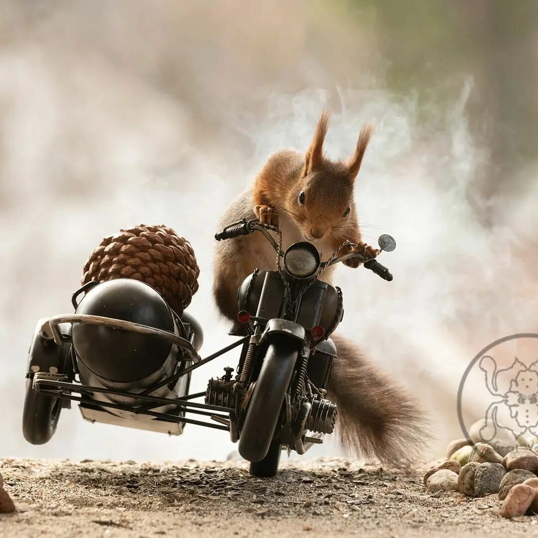 Позитивные картинки про смысл Geert Weggen on Instagram: "On the road again weekly photo If you want to suppor