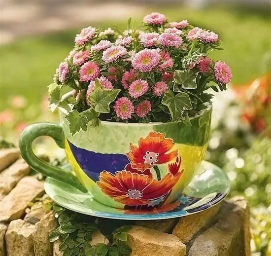 Позитивные картинки цветы 15+ Ideas De Jardines En Miniatura Mágicos En Una Taza De Café Tea cups, Cup, Tr