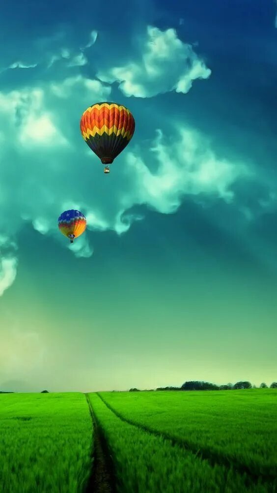 Позитивные картинки вертикальные Download Free Android Wallpaper Air Balloon in 2023 Hd nature wallpapers, Nature