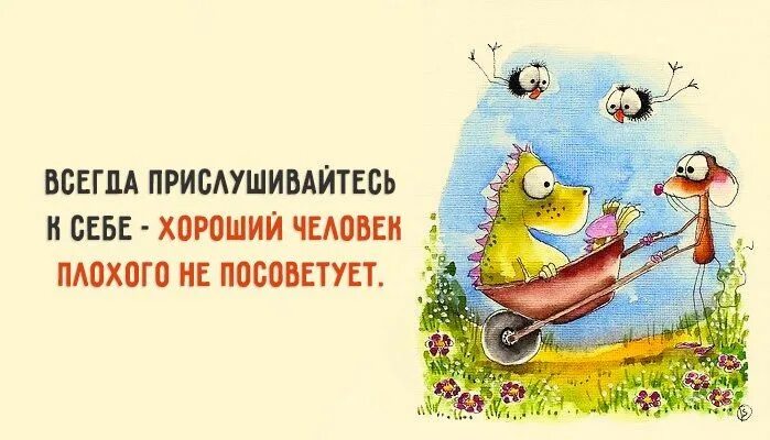 Позитивные слова в картинках Пин от пользователя Life Good на доске Юмор / Humor (с изображениями) Смешно, От