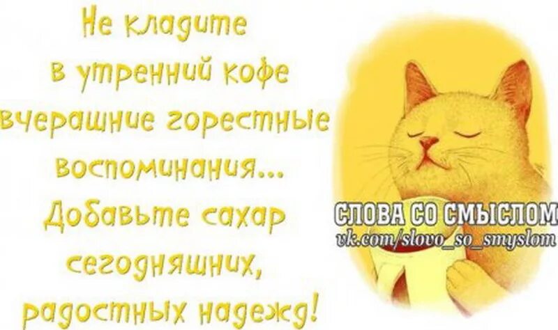 Позитивные слова в картинках Даю установку на добро! Живи с оптимизмом! Слова со смыслом и позитивом