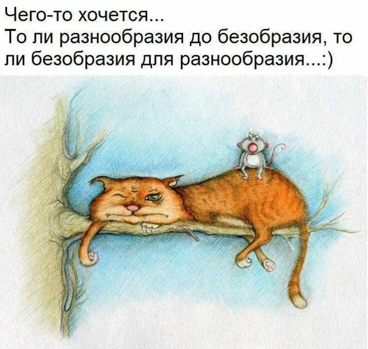 Позитивные смешные картинки для поднятия Pin by Юлиана Щукина on Смешное Cat illustration, Illustration, Dragon cat