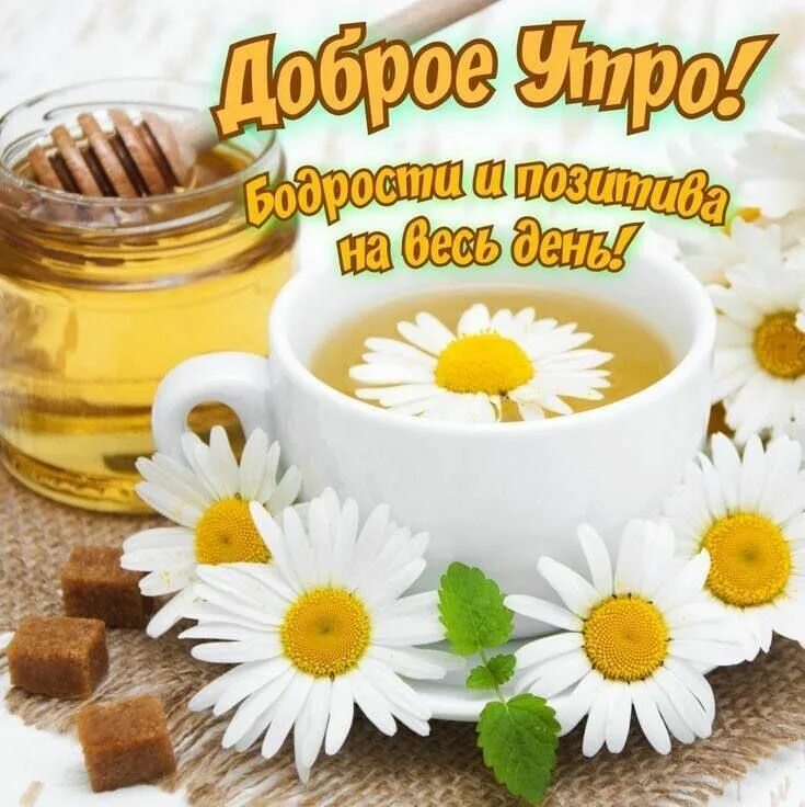 Позитивные утренние пожелания картинки Pin on Доброе утро Tableware, Glassware, 10 things