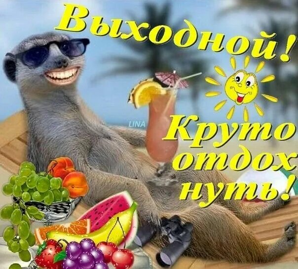 Позитивных выходных картинки Pin on Дни недели Animals, Kangaroo, Lina