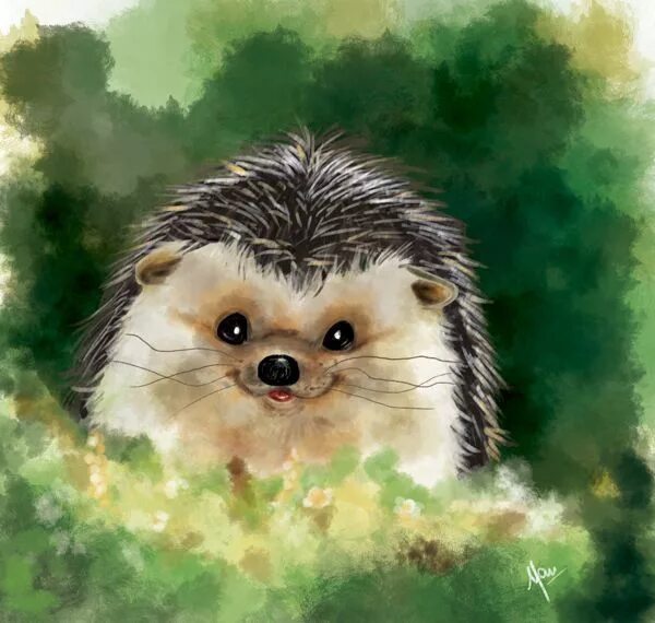 Позитивный ежик картинки Image result for photographs and paintings of hedgehogs Hedgehog art, Hedgehog d