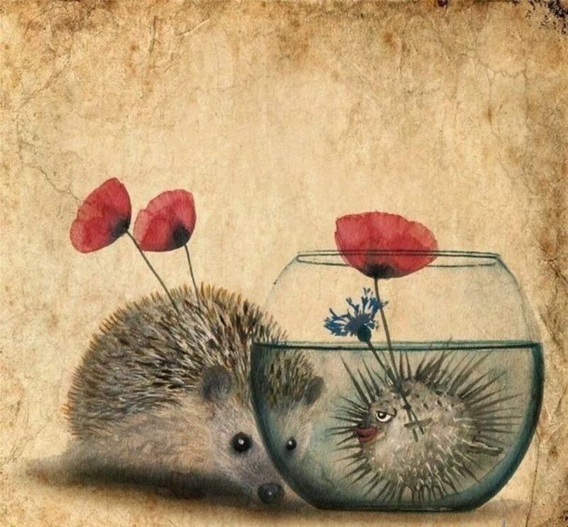 Позитивный ежик картинки Влюбленный ежик Hedgehog art, Whimsical art, Card art