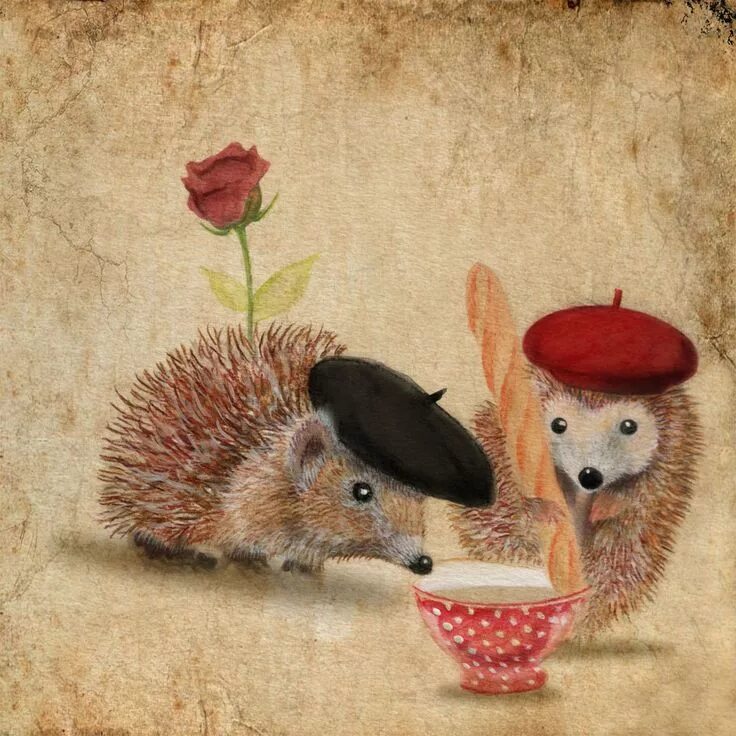 Позитивный ежик картинки Items similar to Art card CAFE au LAIT on Etsy Hedgehog illustration, Hedgehog a