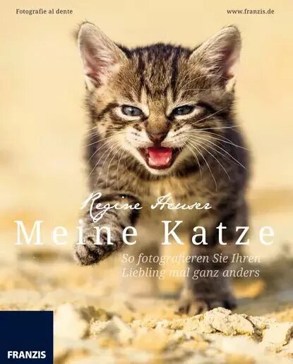 Позитивный котенок картинка Meine Katze Regine Heuser, Ulrich Dorn Электронная книга - купить с доставкой по