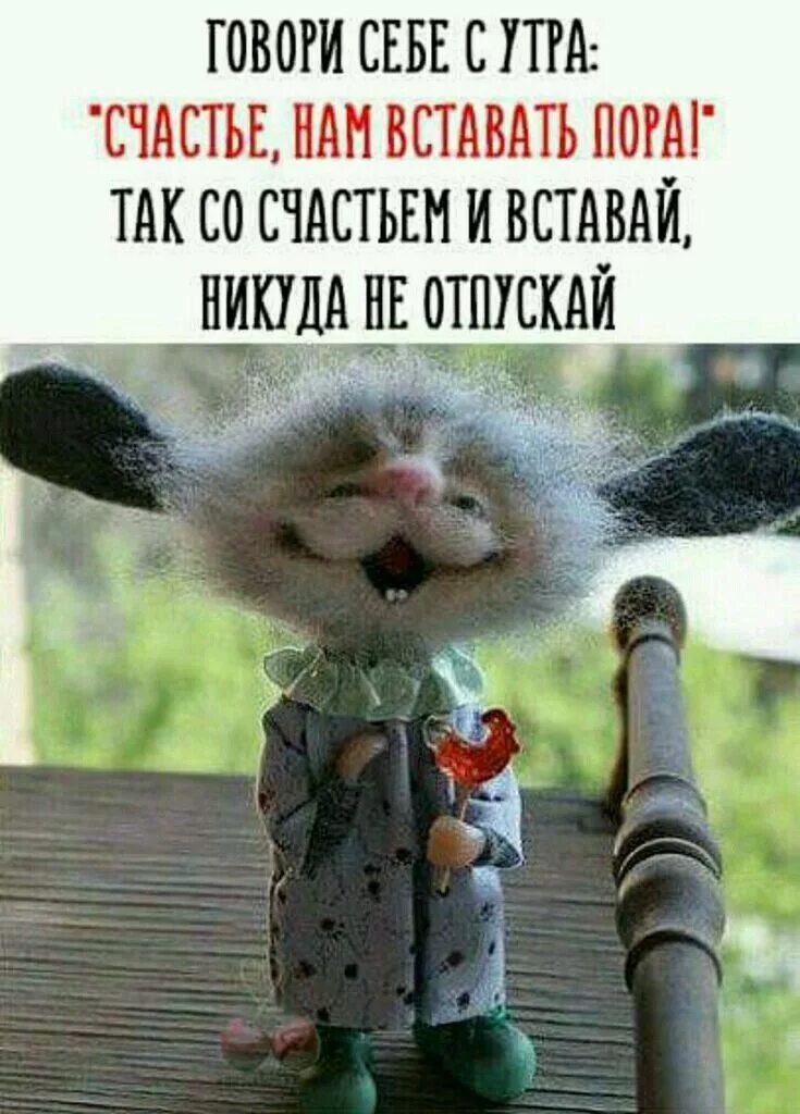 Позитивный юмор с утра картинки Pin on Юмор картинки Funny greetings, Birthday card sayings, Man humor