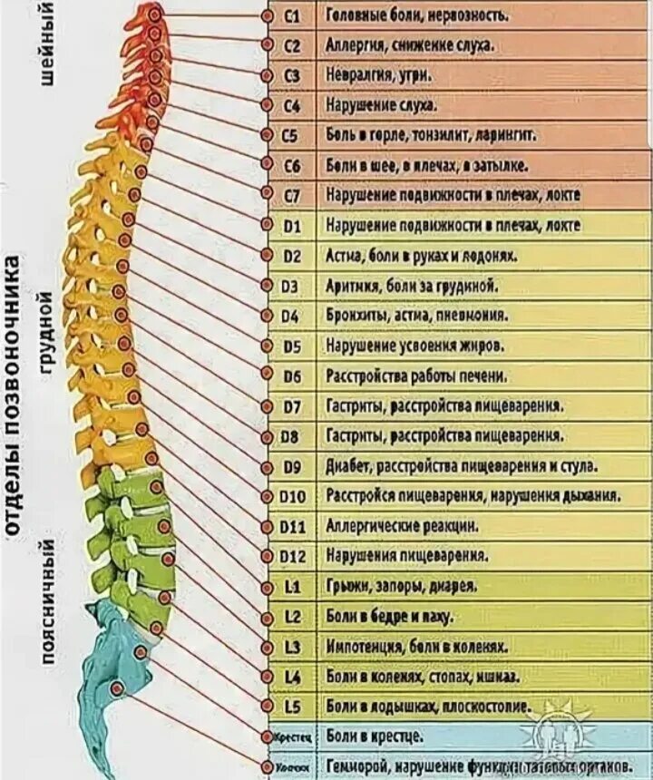 Strengthen Your Vertebroplasty and Kyphoplasty Coding Skills Medical coding, Med