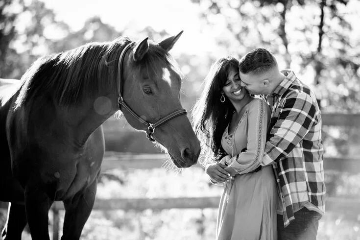 Позы для фото с лошадью Saratoga Springs NY Engagement Photography with dogs and horses Showit Blog Coup