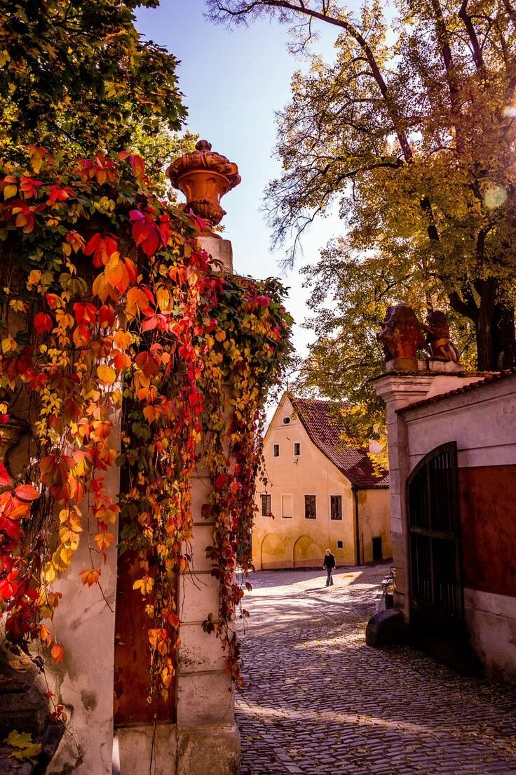 Прага осенью фото autumncozy: " Český Krumlov by Robert Rieger " Живописные пейзажи, Природа и Пей