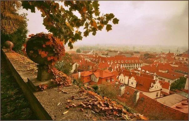 Прага осенью фото Терракотовая Прага Прага, Город, Фотографии