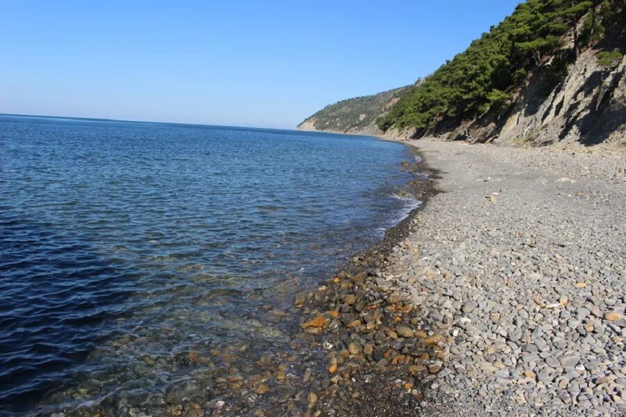 Прасковеевка краснодарский край фото Село Прасковеевка