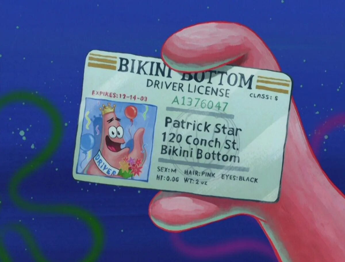 Права губки боба фото List of Patrick's licenses/gallery Encyclopedia SpongeBobia Fandom