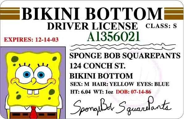 Права губки боба фото Spongebob boating license Spongebob birthday, Spongebob funny, Spongebob