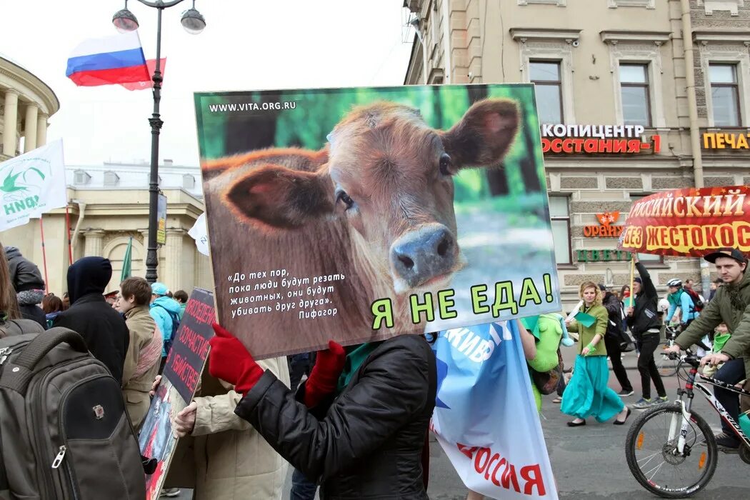 Права животных фото Центр защиты прав животных "ВИТА" - Веганство