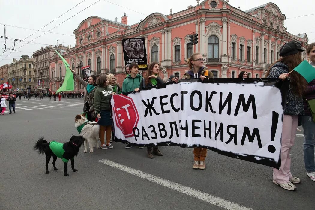 Права животных фото Защита прав животных картинки фото - ViktoriaFoto.ru