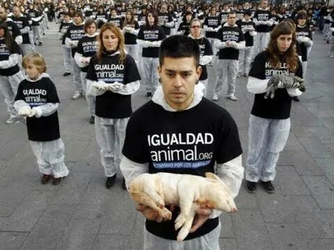 Права животных фото CADA DÍA MÁS GENTE CREE QUE LOS ANIMALES SON TAN IMPORTANTES COMO LAS PERSONAS (