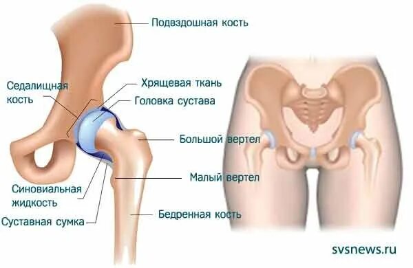 Локтевые костыли Kowsky купить в Москве по низкой цене