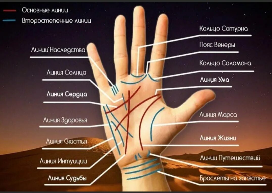 Правая рука линии на ладони фото стопагороскоп - Самое интересное в блогах