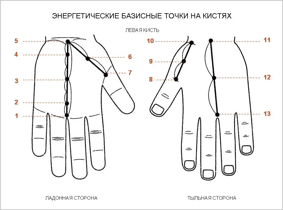 Правая рука схема расположения #суджок_азы 2024 лечебник ВКонтакте