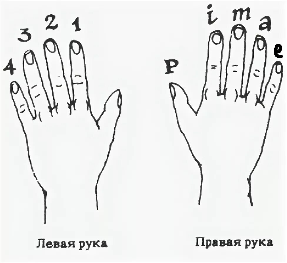 Правая рука схема расположения Правая рука меньше левой