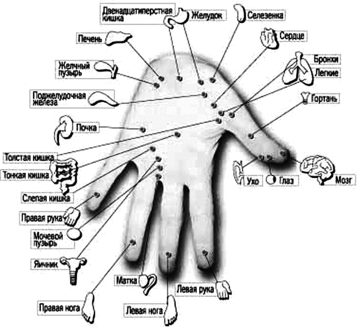 Правая рука схема расположения Акупунктурные точки на ладони