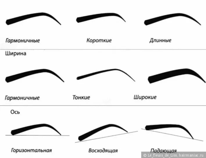 Правила макияжа бровей Идеальные брови. Разбираемся во всех тонкостях / Окрашивание / Hairmaniac - сооб