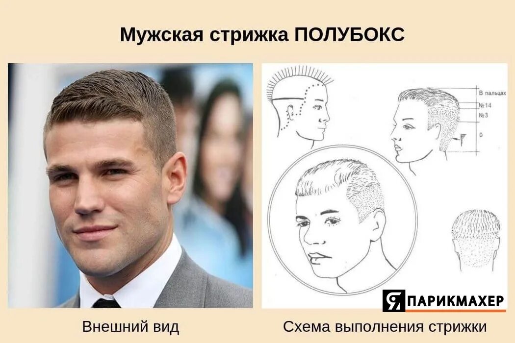 Правила мужской стрижки #СХЕМА@gazetap Haircut "SemiBox" 2023 Я ПАРИКМАХЕР VK