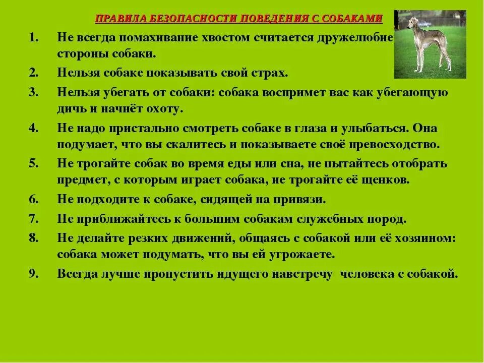 Правила поведения с животными картинки Что делать если друг постоянно: найдено 90 изображений