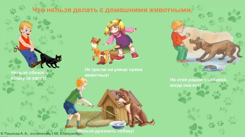 Правила поведения с животными картинки Дразнить собаку 55 фото - ZooClever.ru