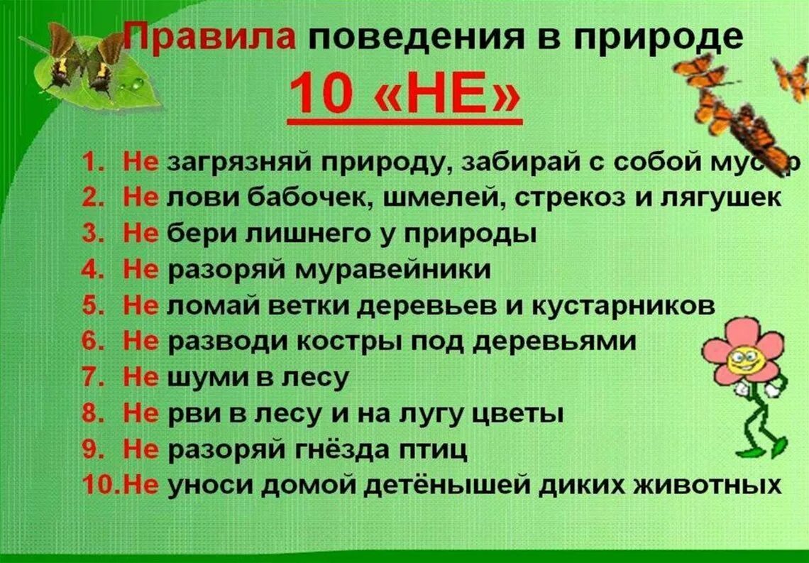 Поведение в лесу 2023, Ярославский район - дата и место проведения, программа ме