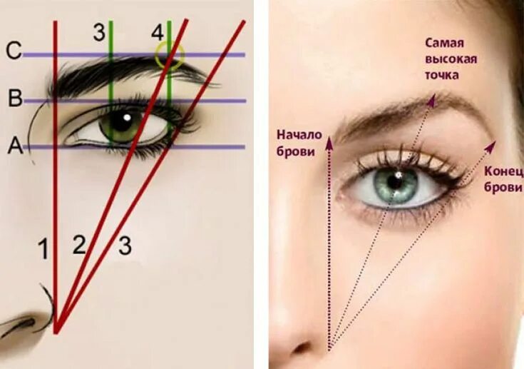 Правильная форма бровей как сделать фото Как накрасить брови карандашом поэтапная инструкция Техники макияжа, Макияж бров