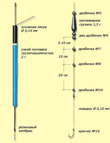 Правильная оснастка на карася Ловля карася в июне на поплавочную удочку